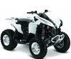 Quad Can-Am Renegade 500 G1 (2007 - 2012)