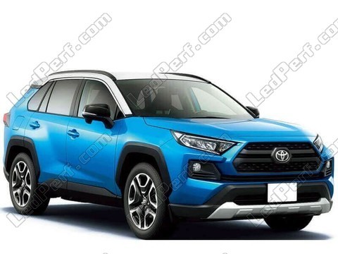 Carro Toyota Rav4 MK5 (2019 - 2024)