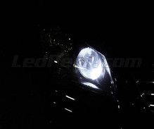 Pack de luzes de presença de LED (branco xénon) para Volkswagen Polo 4 (9N3)